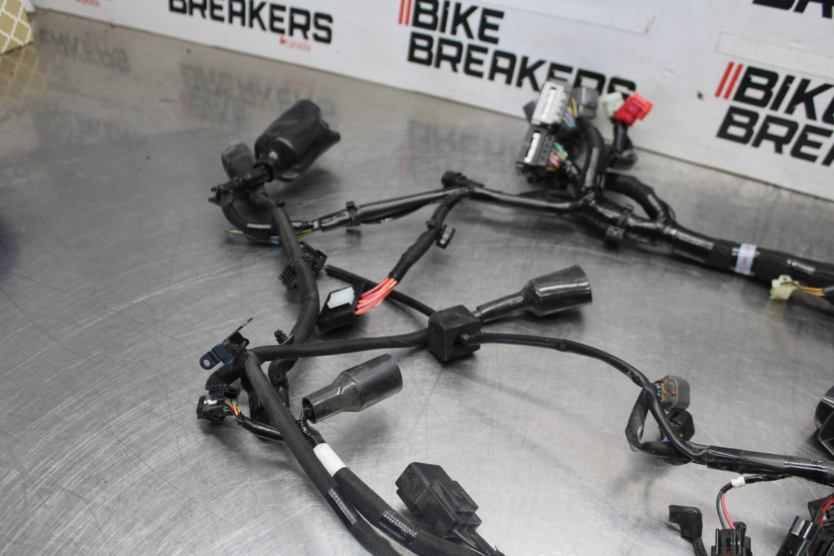 24-25 KAWASAKI NINJA ZX6R MAIN ENGINE WIRING HARNESS MOTOR WIRE LOOM BB939
