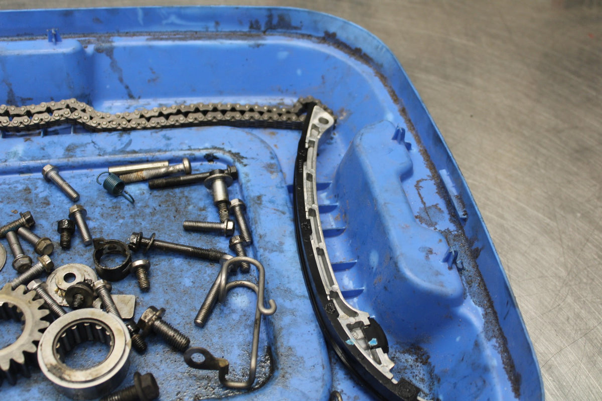 15 TRIUMPH TIGER 800 ENGINE BOLTS HARDWARE MOTOR SCREWS BB873