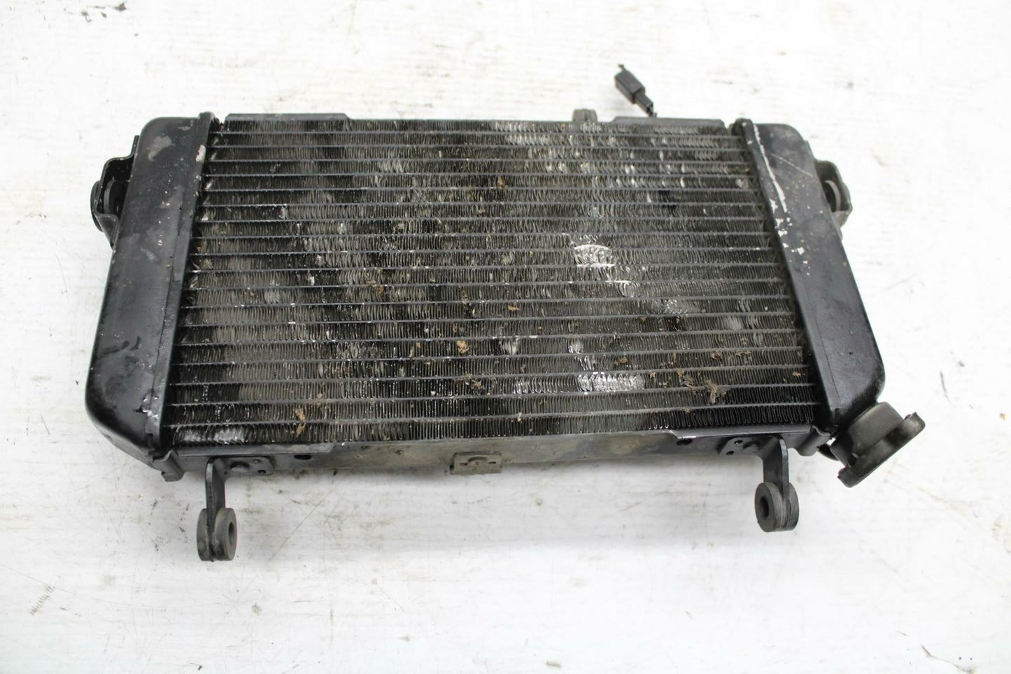 99-02 SUZUKI SV650S ENGINE RADIATOR MOTOR COOLER COOLING RADIATER BB299