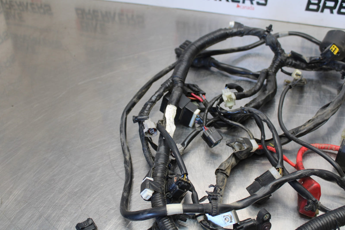 09 YAMAHA V STAR 950 MAIN ENGINE WIRING HARNESS MOTOR WIRE LOOM BB172