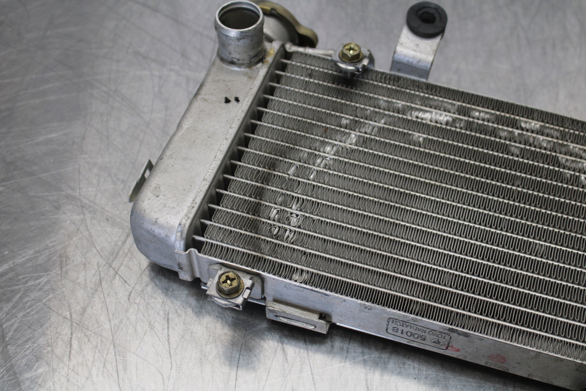 98-05 HONDA SUPER HAWK 1000 VTR1000F RIGHT ENGINE RADIATOR MOTOR COOLER BB152