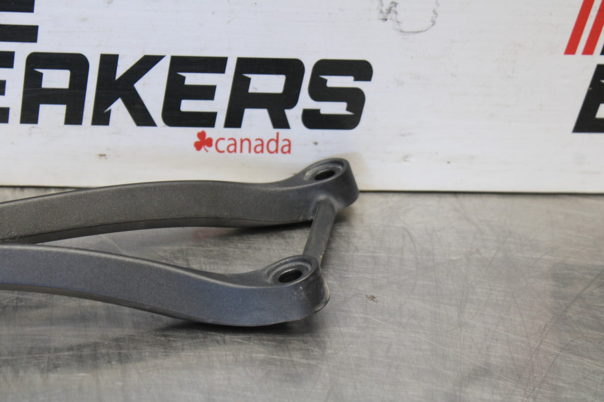 24 KAWASAKI NINJA ZX6R ZX636 ABS 40TH ANNIVERSARY LEFT REAR BACK PEG BB911