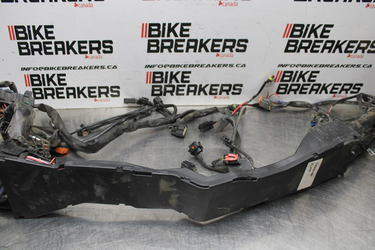08 HARLEY-DAVIDSON ELECTRA GLIDE POLICE EFI FLHTPI MAIN WIRING HARNESS BB816