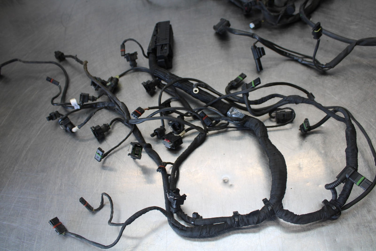 17-20 BMW S1000R FULL ENGINE WIRING HARNESS MOTOR WIRE LOOM BB909