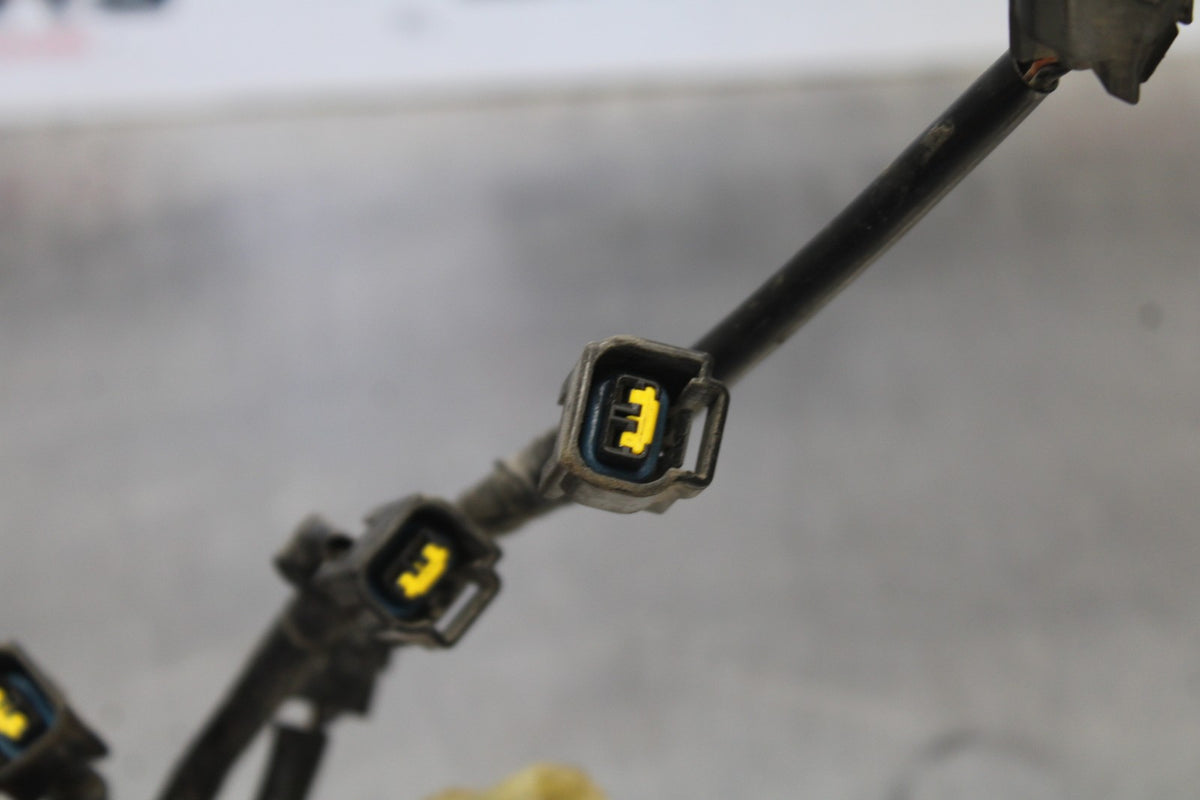 05 YAMAHA YZF R6 IGNITION COIL WIRING HARNESS WIRE LOOM BB894