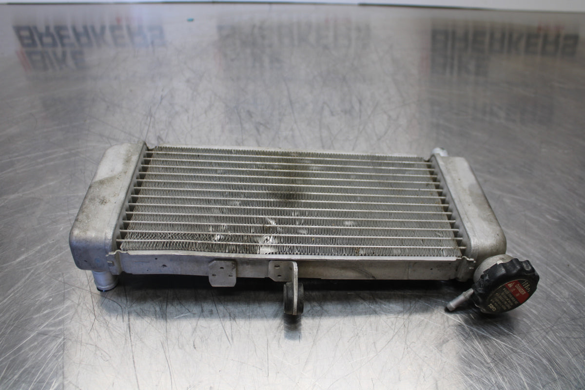 15-16 HONDA CB300F ENGINE RADIATOR MOTOR COOLER COOLING RADIATER BB150