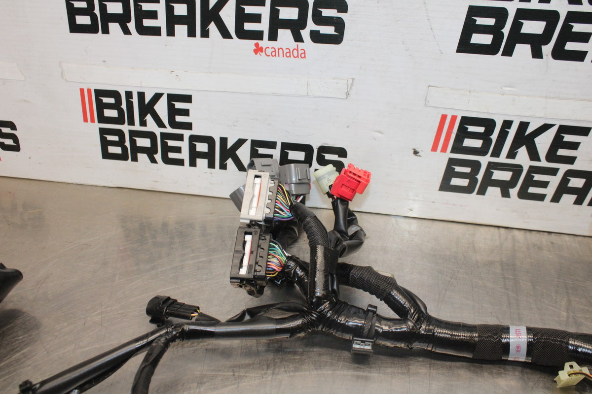 24-25 KAWASAKI NINJA ZX6R MAIN ENGINE WIRING HARNESS MOTOR WIRE LOOM BB939