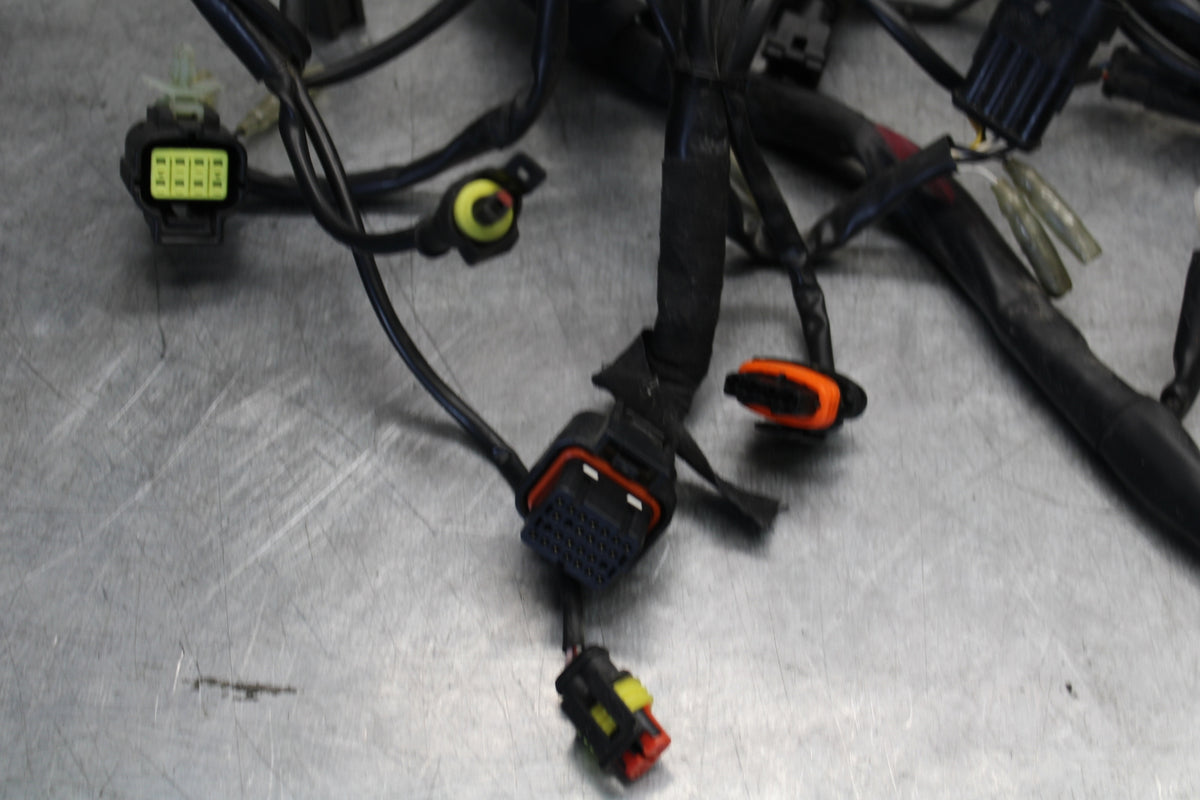 06-07 DUCATI MONSTER 695 MAIN ENGINE WIRING HARNESS MOTOR WIRE LOOM BB674