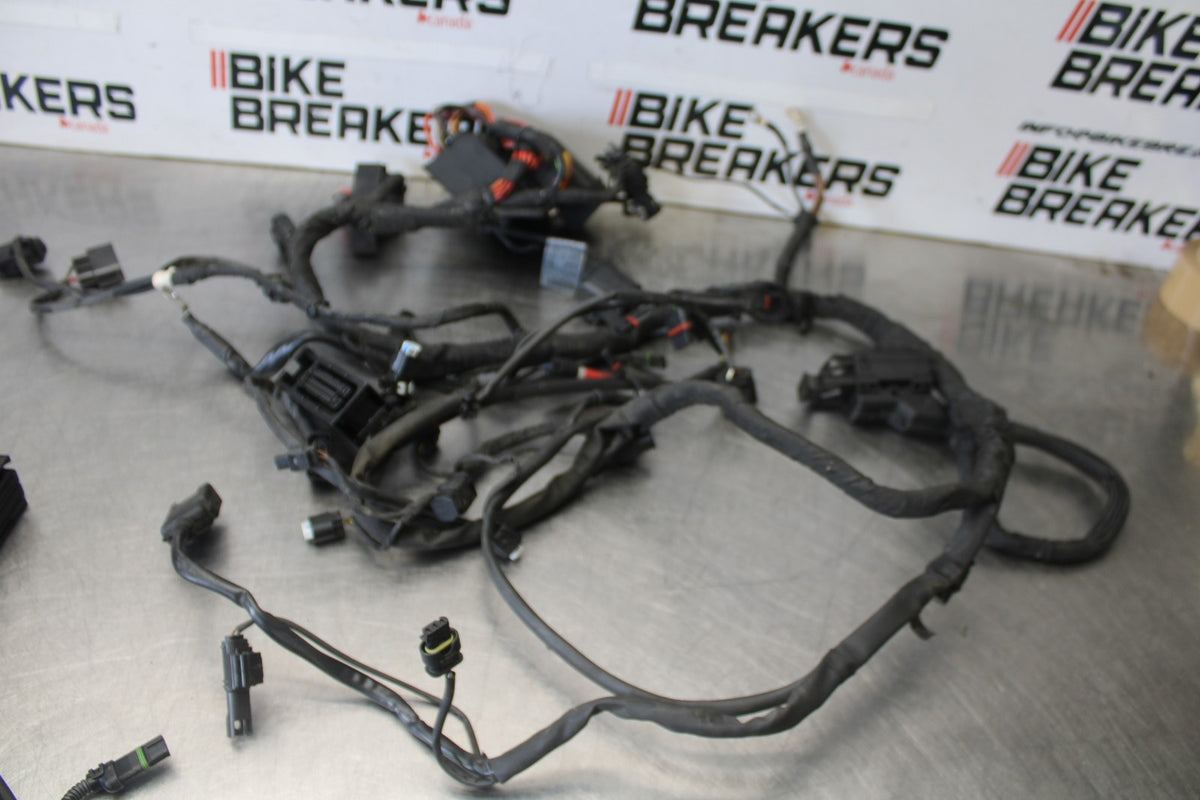 17-20 BMW S1000R FULL ENGINE WIRING HARNESS MOTOR WIRE LOOM BB909