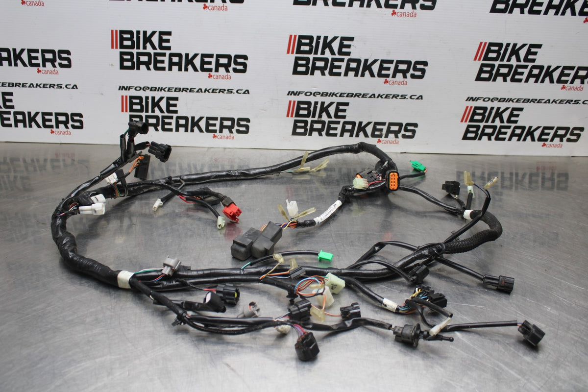 15 SUZUKI GW250F MAIN ENGINE WIRING HARNESS MOTOR WIRE LOOM BB789