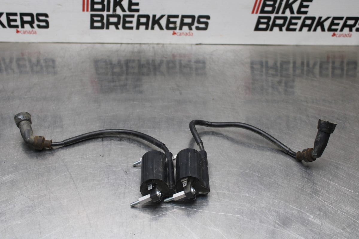 15 SUZUKI GW250F IGNITION COILS COIL SPARK PLUG CAPS BB789