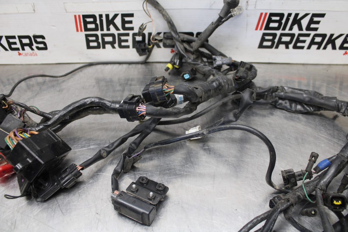05-08 TRIUMPH SPEED TRIPLE 1050 MAIN ENGINE WIRING HARNESS MOTOR WIRE LOOM BB933