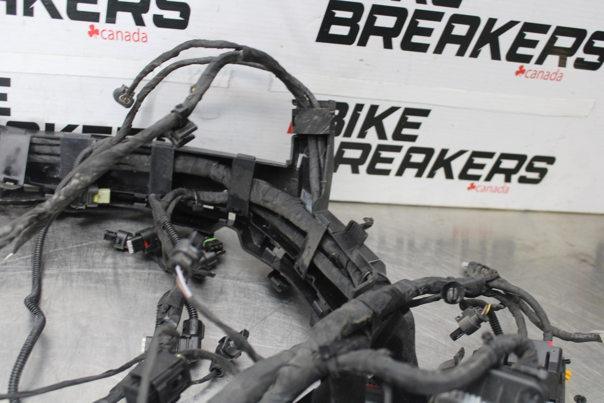 20-23 BMW F900R MAIN ENGINE WIRING HARNESS MOTOR WIRE LOOM BB923