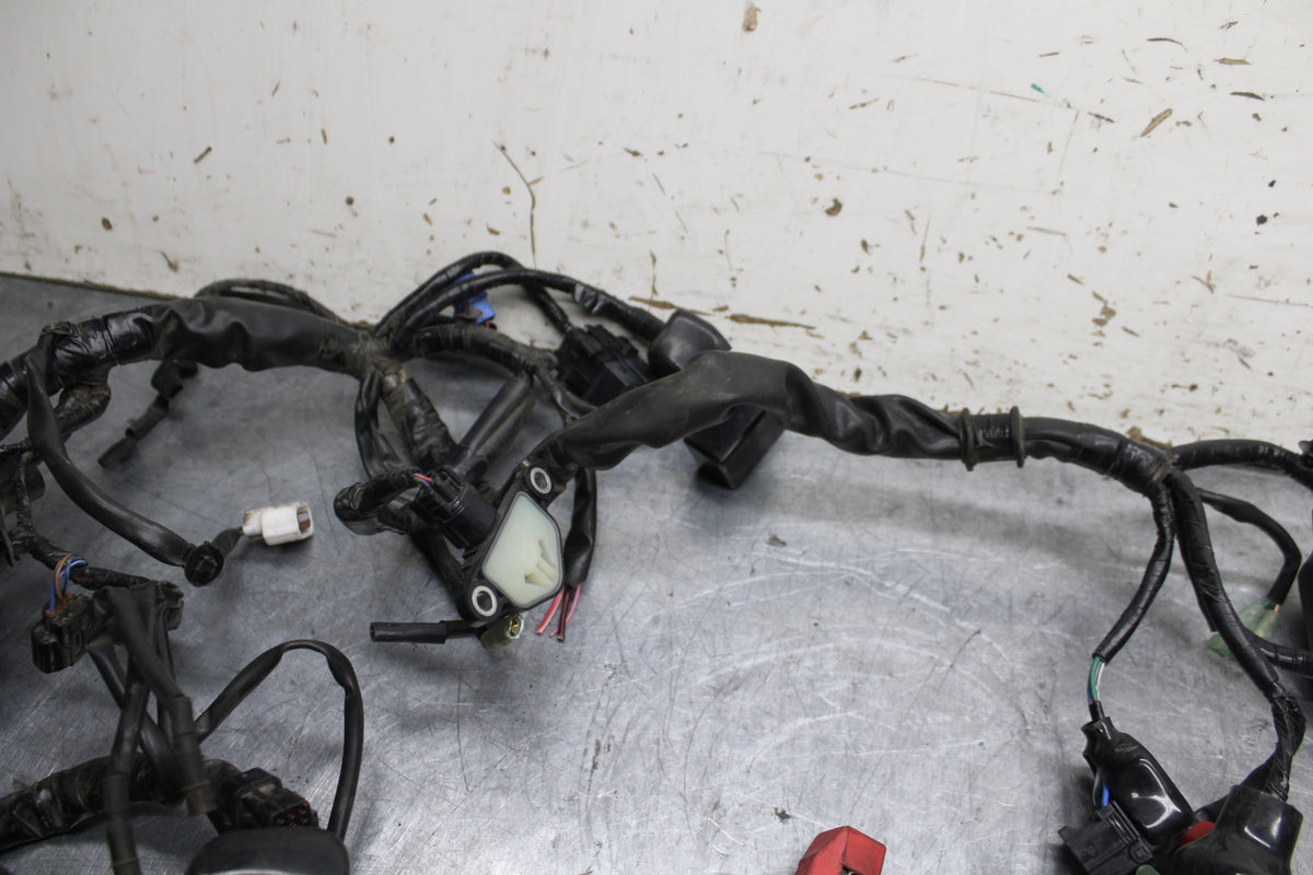 15-16 HONDA CB300F MAIN ENGINE WIRING HARNESS MOTOR WIRE LOOM BB740