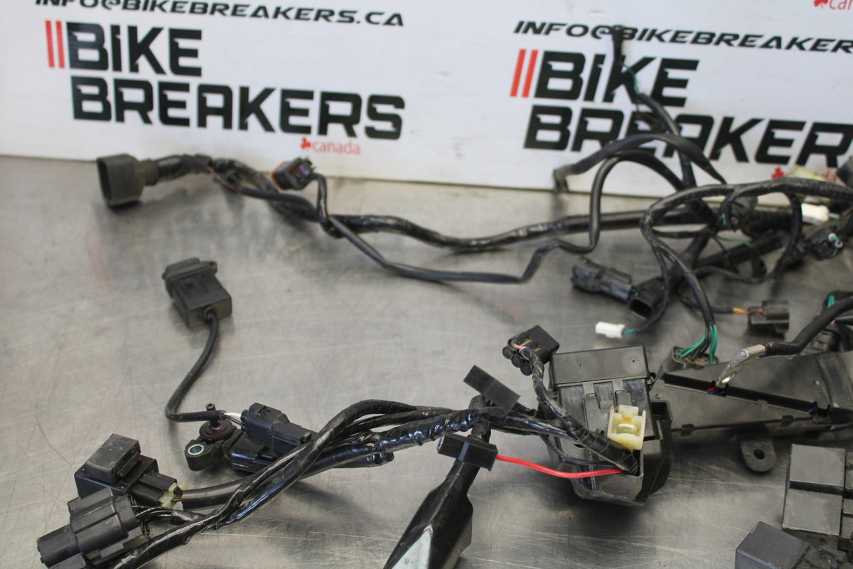 20 TRIUMPH STREET TRIPLE 765 MAIN ENGINE WIRING HARNESS MOTOR WIRE LOOM BB864