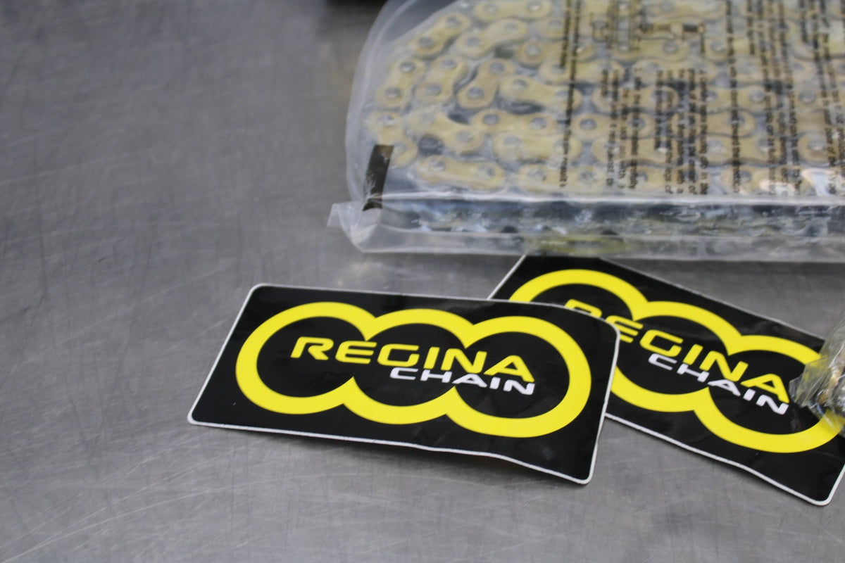 REGINA NEW!! TOURING MAIN DRIVE CHAIN  BB876