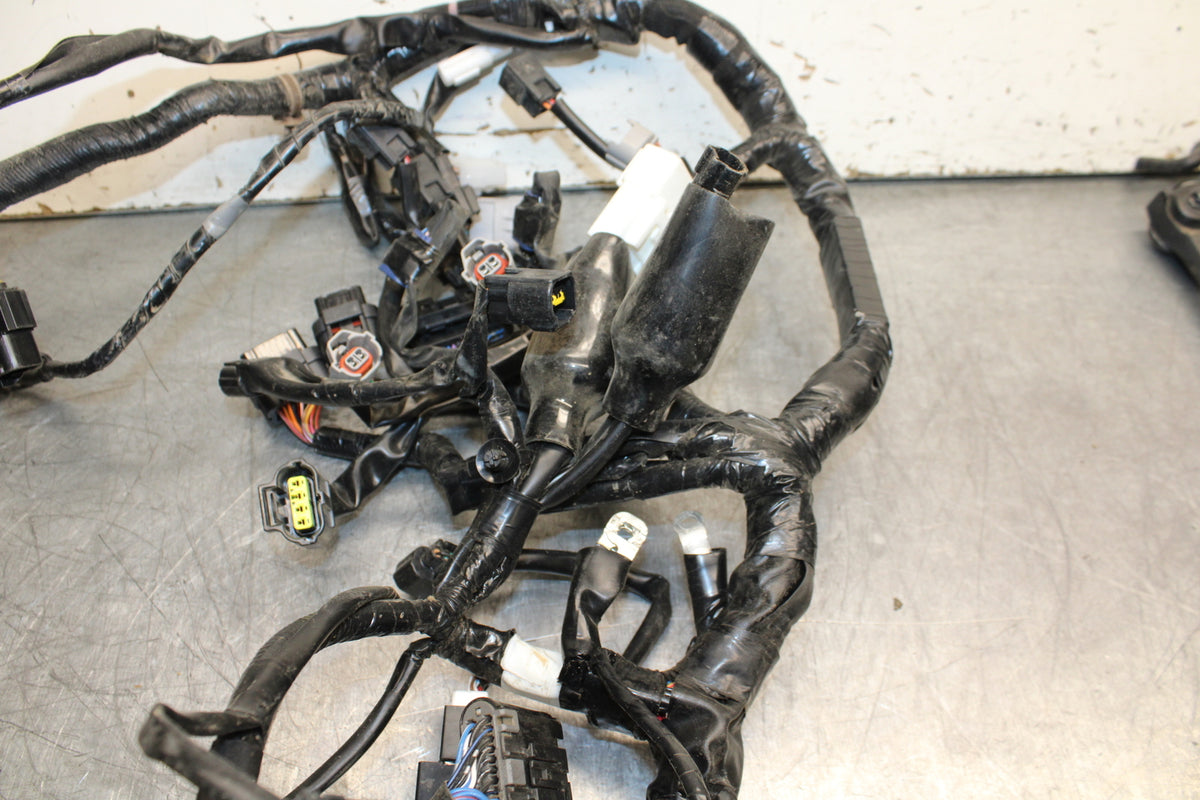 22-24 YAMAHA XSR900 MAIN ENGINE WIRING HARNESS MOTOR WIRE LOOM BB710