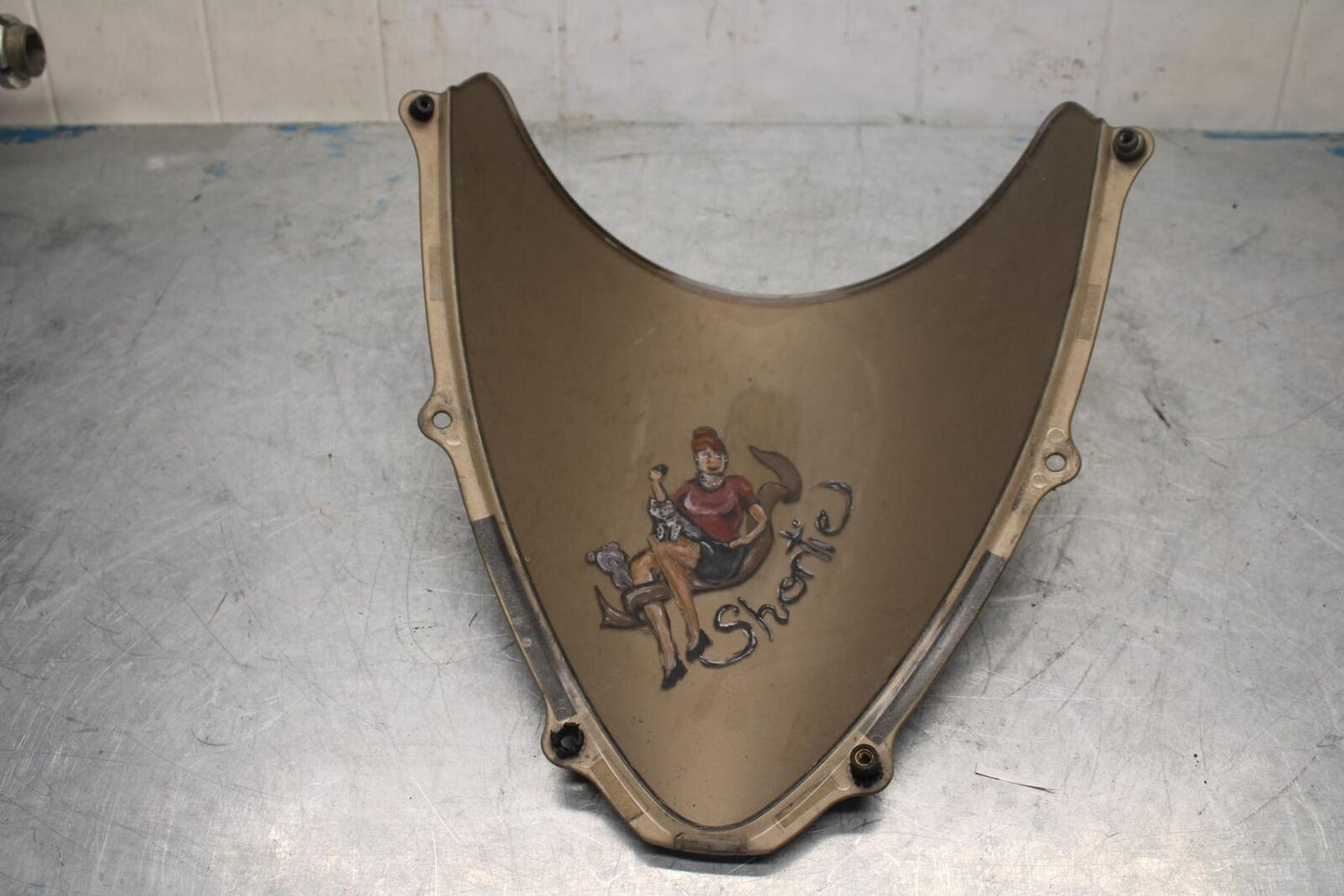 06-07 SUZUKI GSXR750 FRONT WINDSHIELD WINDSCREEN  BB424