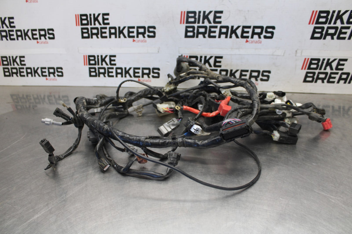 19-24 YAMAHA R3 MAIN ENGINE WIRING HARNESS MOTOR WIRE LOOM BB942