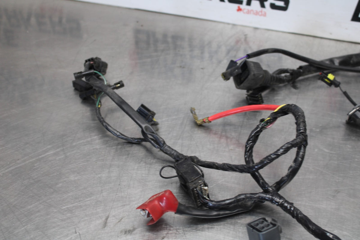 12 TRIUMPH STREET TRIPLE R MAIN ENGINE WIRING HARNESS MOTOR WIRE LOOM BB914