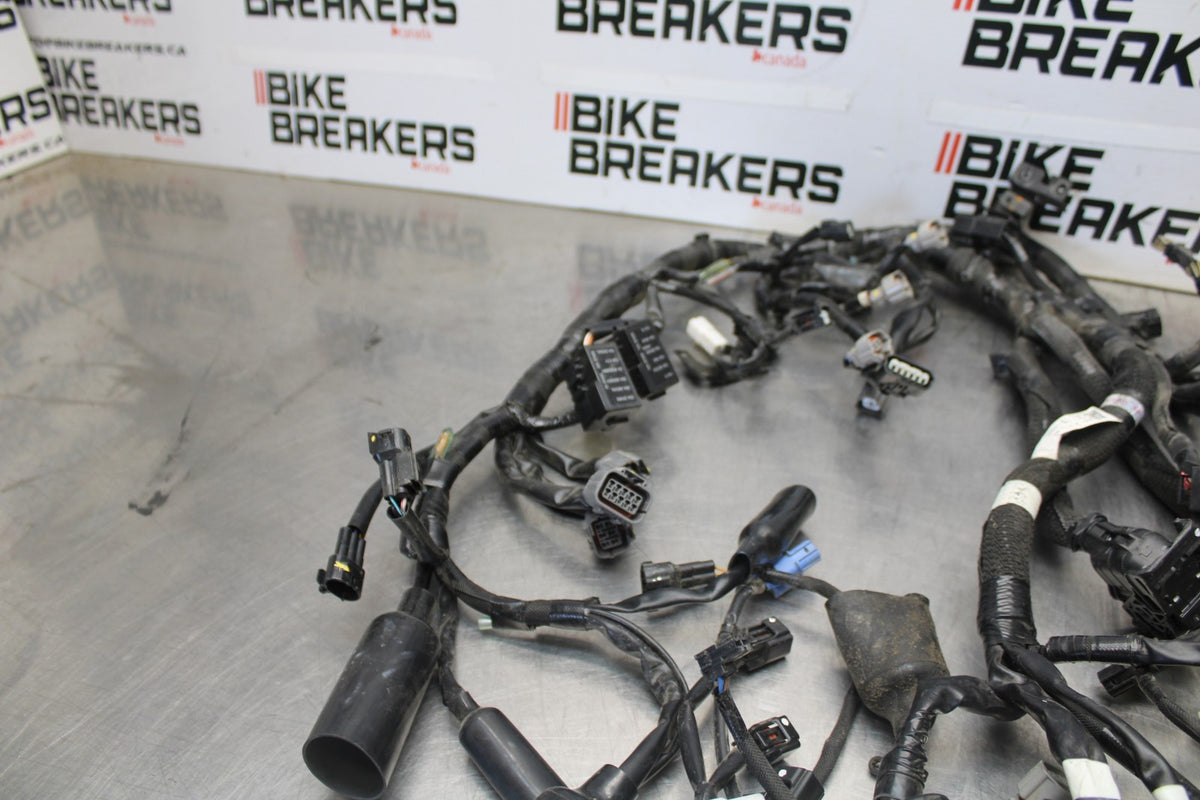 23-26 KAWASAKI NINJA ZX4RR MAIN ENGINE WIRING HARNESS MOTOR WIRE LOOM BB898
