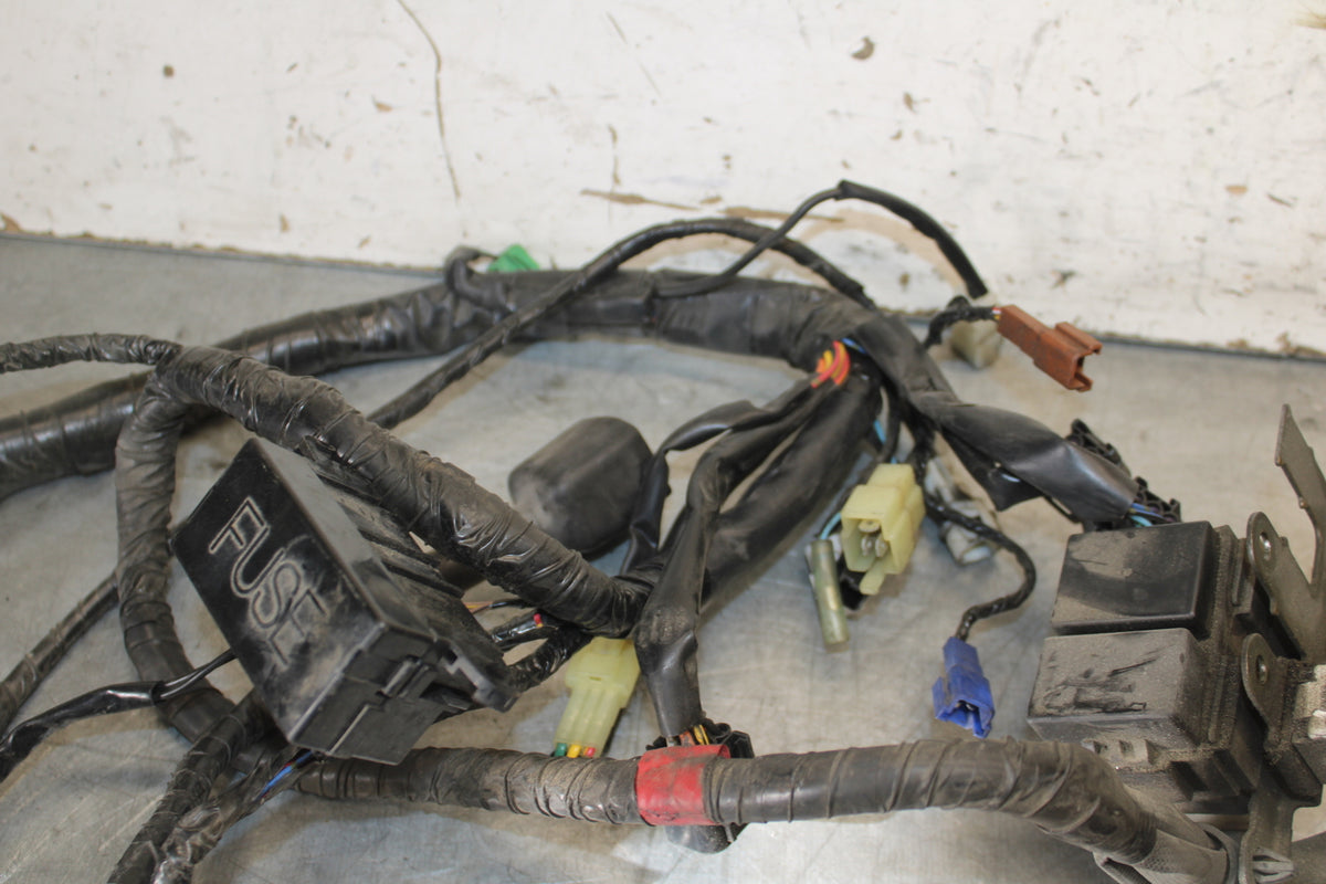 05-06 YAMAHA ROAD STAR XV1700A MAIN ENGINE WIRING HARNESS MOTOR WIRE LOOM BB703