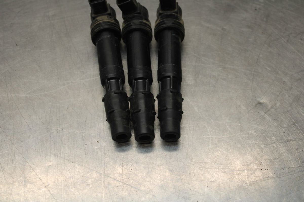 15 TRIUMPH TIGER 800 IGNITION COILS COIL SPARK PLUG CAPS BB873