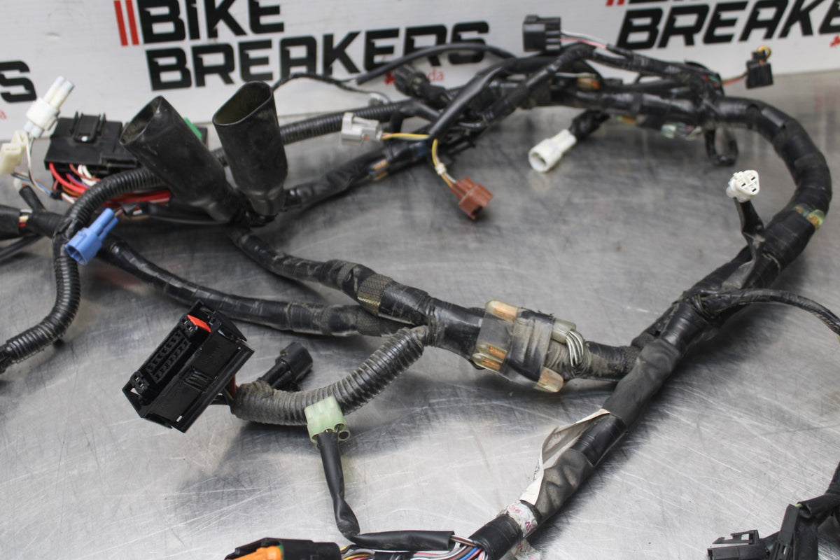 17-24 SUZUKI SV650 MAIN ENGINE WIRING HARNESS MOTOR WIRE LOOM BB829