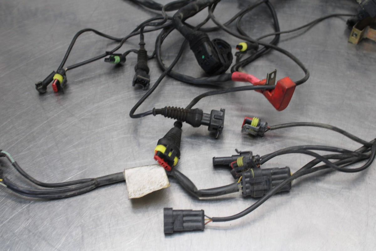 05 DUCATI SUPERSPORT 800 MAIN ENGINE WIRING HARNESS MOTOR WIRE LOOM BB913