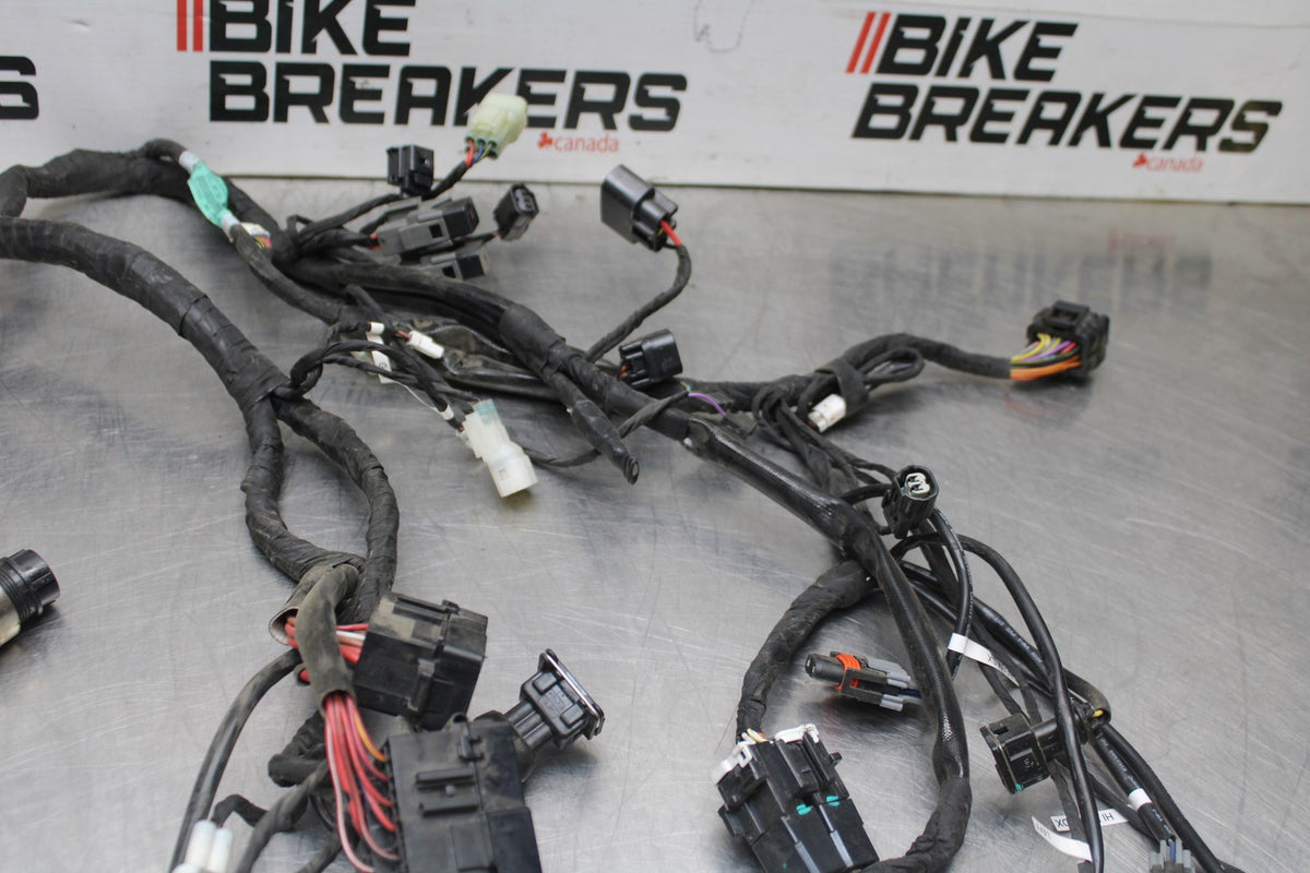 16 DUCATI 959 PANIGALE MAIN ENGINE WIRING HARNESS MOTOR WIRE LOOM BB912