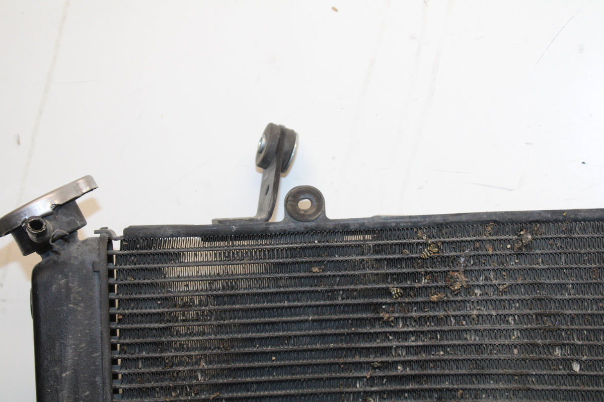 06 YAMAHA YZF R6 ENGINE RADIATOR MOTOR COOLER RADIATER 2C0-12461-00-00 BB716