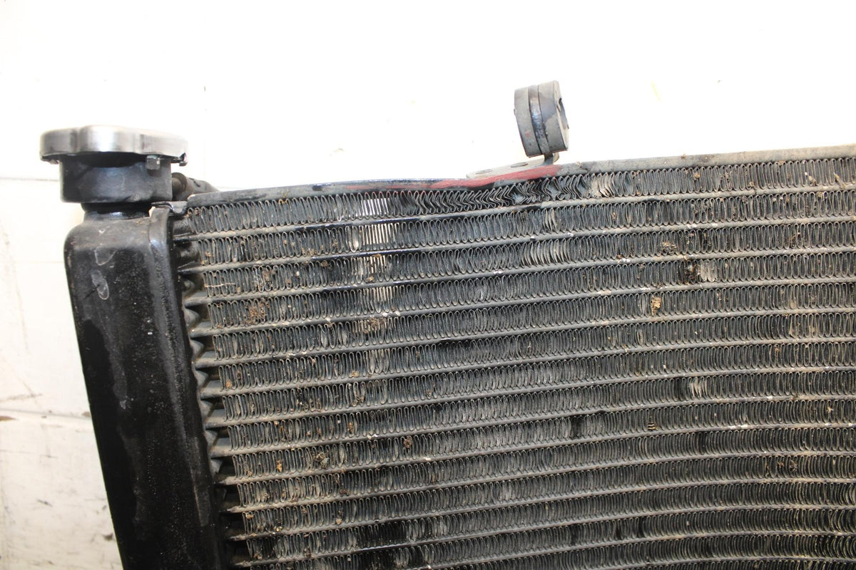 02-03 HONDA CBR900RR 954 ENGINE RADIATOR MOTOR COOLER COOLING RADIATER BB497
