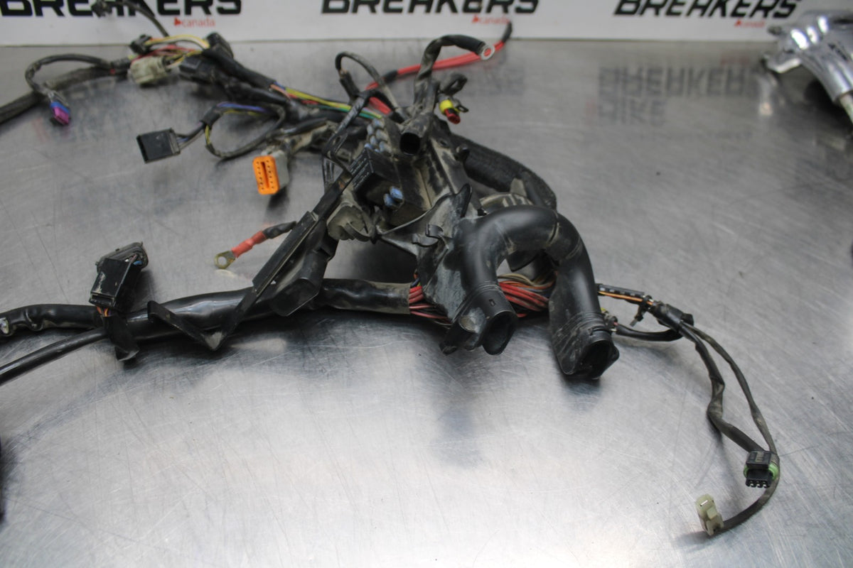 08 HARLEY-DAVIDSON SPORTSTER 1200 MAIN ENGINE WIRING HARNESS WIRE LOOM BB794