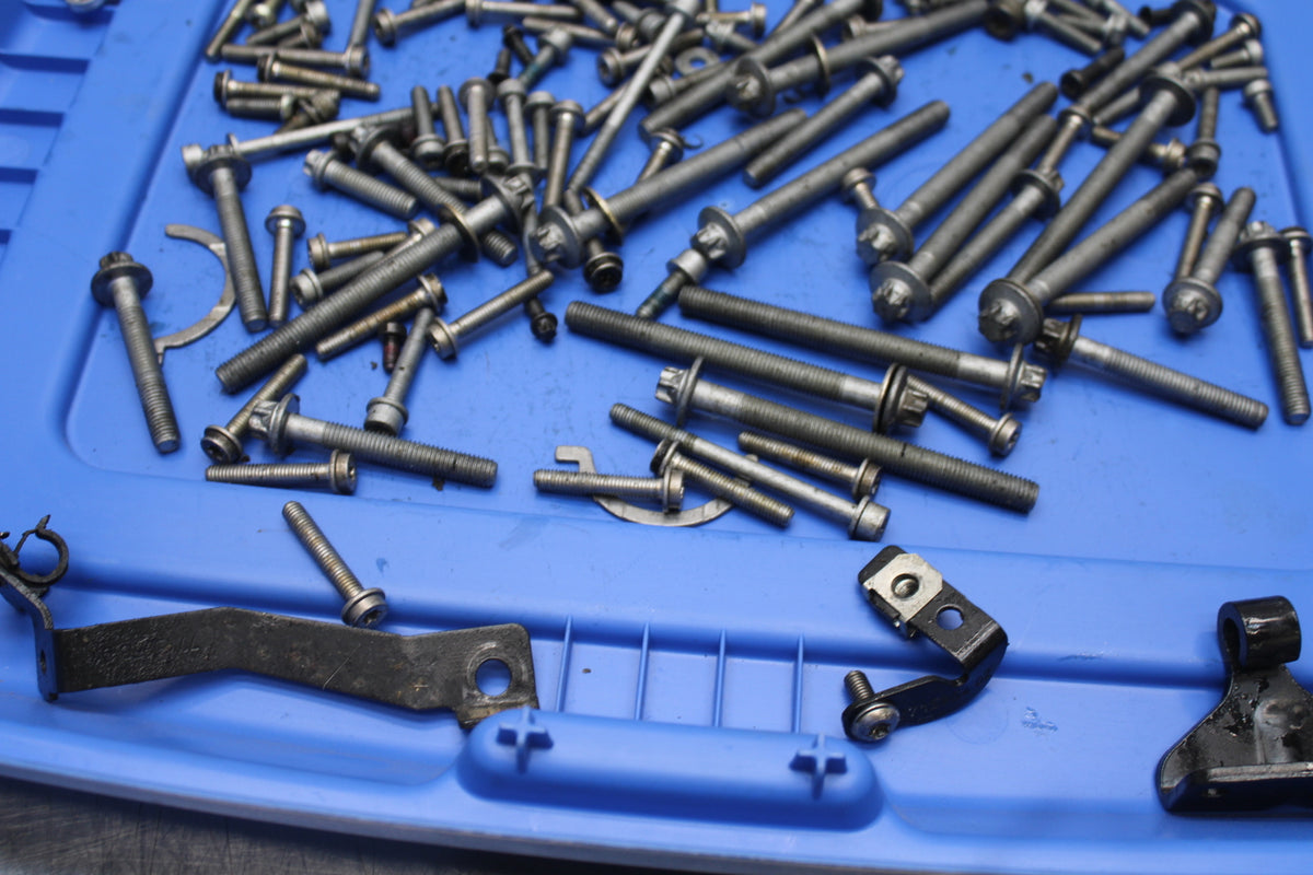 10-11 BMW S1000RR ENGINE MOUNTING BOLTS HARDWARE MOTOR SCREWS BB168