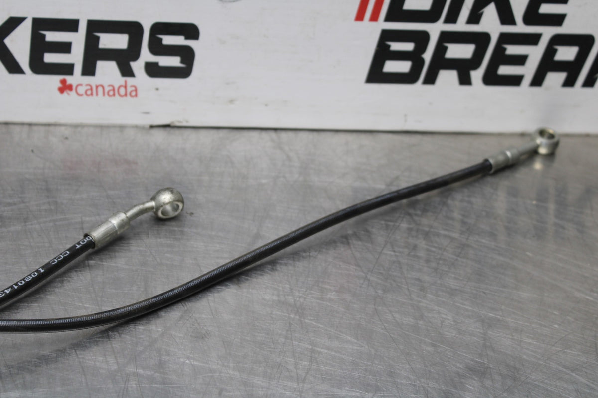16 DUCATI 959 PANIGALE FRONT BRAKE CALIPER HOSES LINES BB912