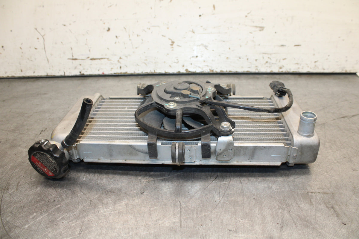 15-16 HONDA CB300F ENGINE RADIATOR MOTOR COOLER COOLING RADIATER BB740