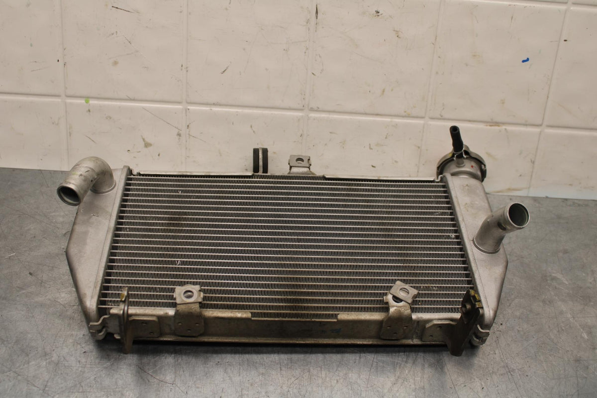 19-21 YAMAHA YZF R3 ENGINE RADIATOR MOTOR COOLER COOLING RADIATER BB588