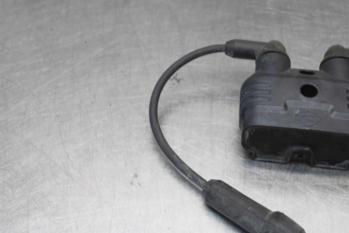 22 HARLEY-DAVIDSON PAN AMERICA 1250 IGNITION COIL SPARK PLUG CAP  BB910