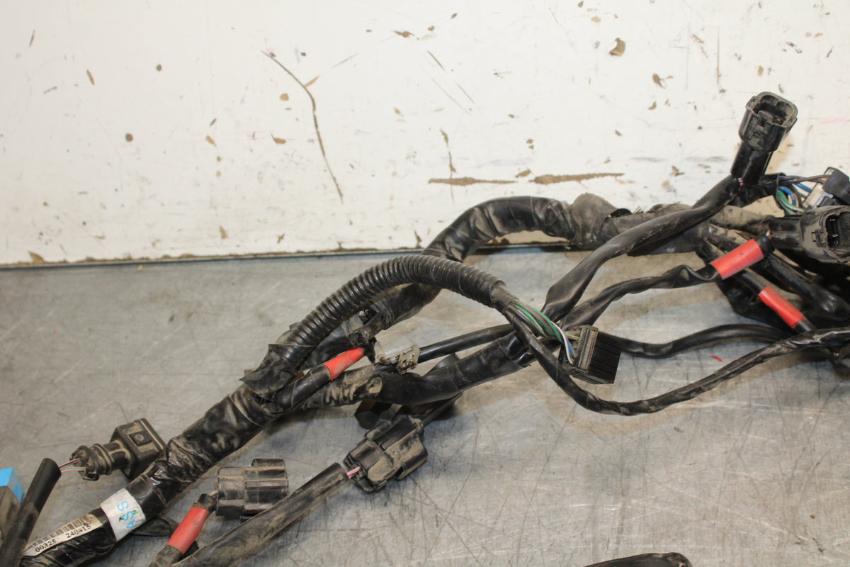14-16 TRIUMPH AMERICA LT MAIN ENGINE WIRING HARNESS MOTOR WIRE LOOM BB720