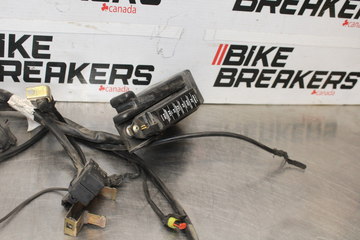 05 DUCATI SUPERSPORT 800 MAIN ENGINE WIRING HARNESS MOTOR WIRE LOOM BB913