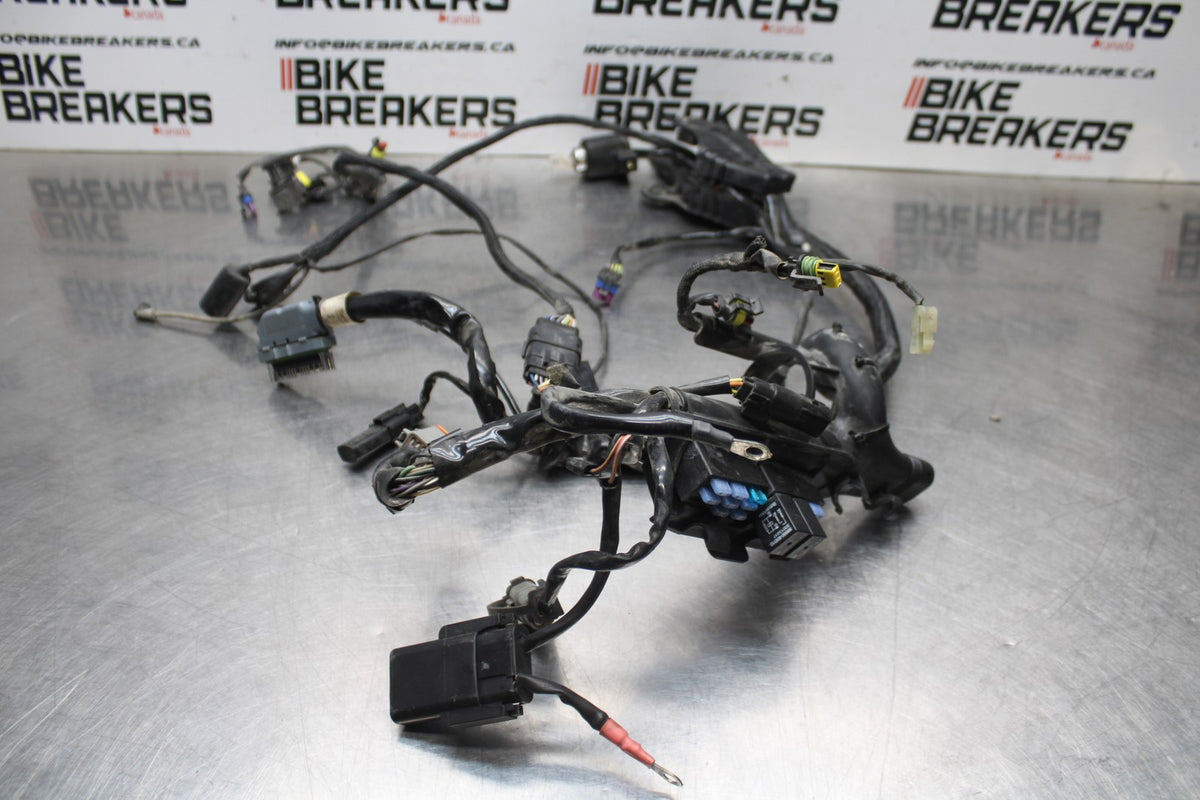 07 HARLEY-DAVIDSON SPORTSTER 1200 XL1200C MAIN ENGINE WIRING HARNESS  BB833