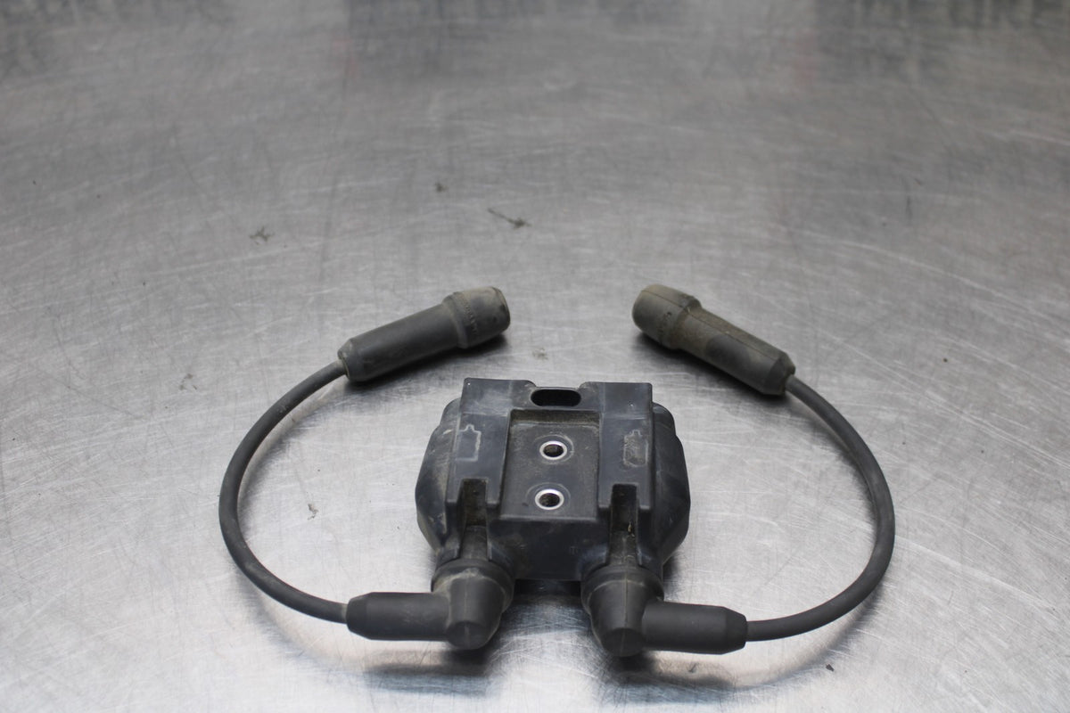 22 HARLEY-DAVIDSON PAN AMERICA 1250 IGNITION COIL SPARK PLUG CAP  BB910