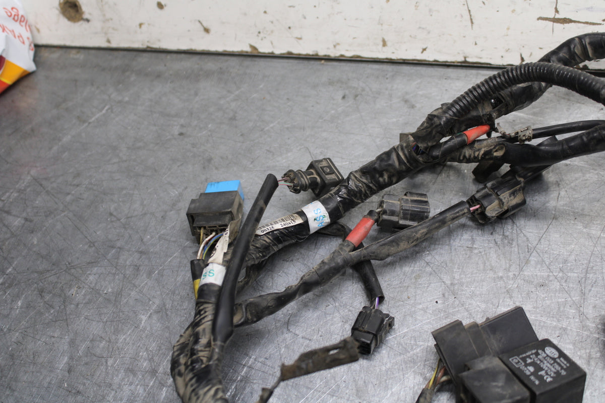 14-16 TRIUMPH AMERICA LT MAIN ENGINE WIRING HARNESS MOTOR WIRE LOOM BB720