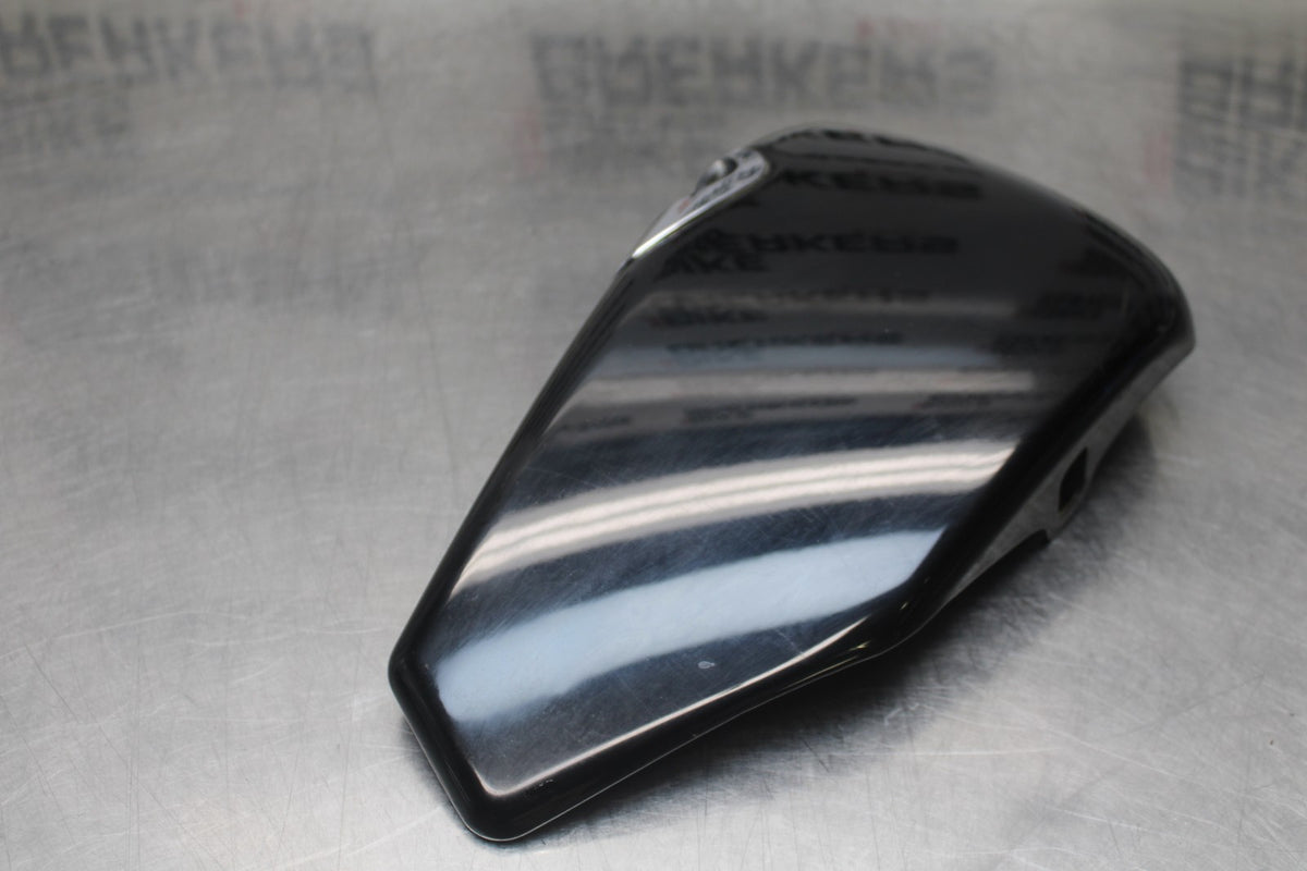 09 HARLEY-DAVIDSON SPORTSTER 1200 CUSTOM XL1200C OIL TANK SIDE COVER PANEL BB776