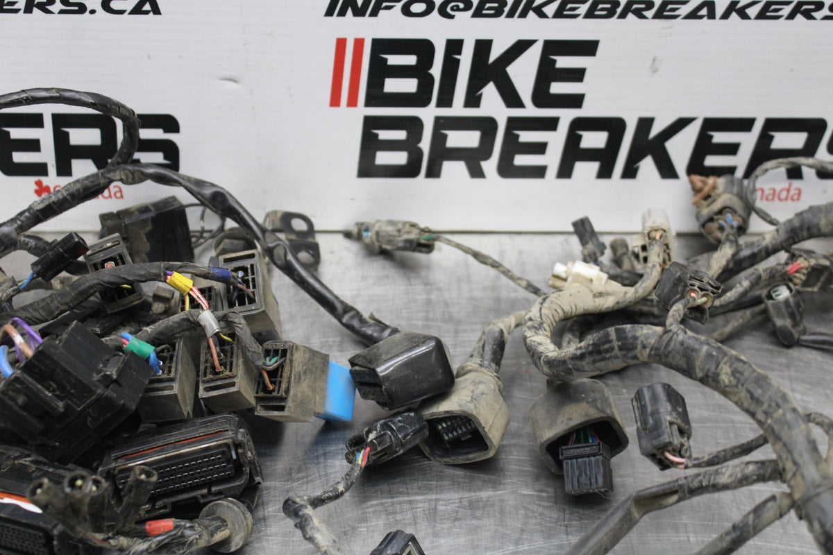 15 TRIUMPH TIGER 800 MAIN ENGINE WIRING HARNESS MOTOR WIRE LOOM BB873