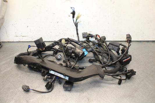 19-21 TRIUMPH SPEED TWIN 1200 MAIN ENGINE WIRING HARNESS MOTOR WIRE LOOM BB653