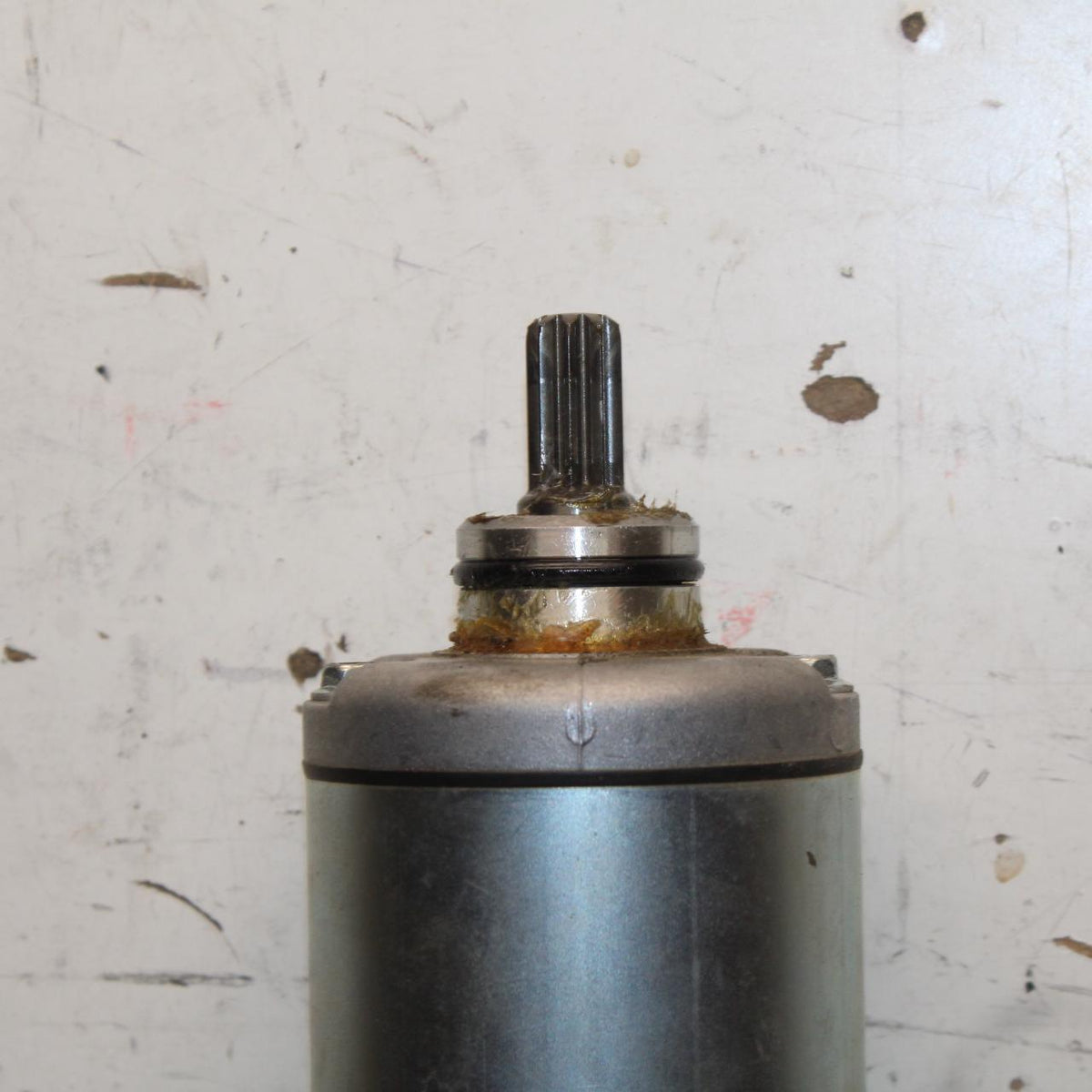 16-21 YAMAHA XSR900 ENGINE STARTING STARTER MOTOR -DC 12V BB648