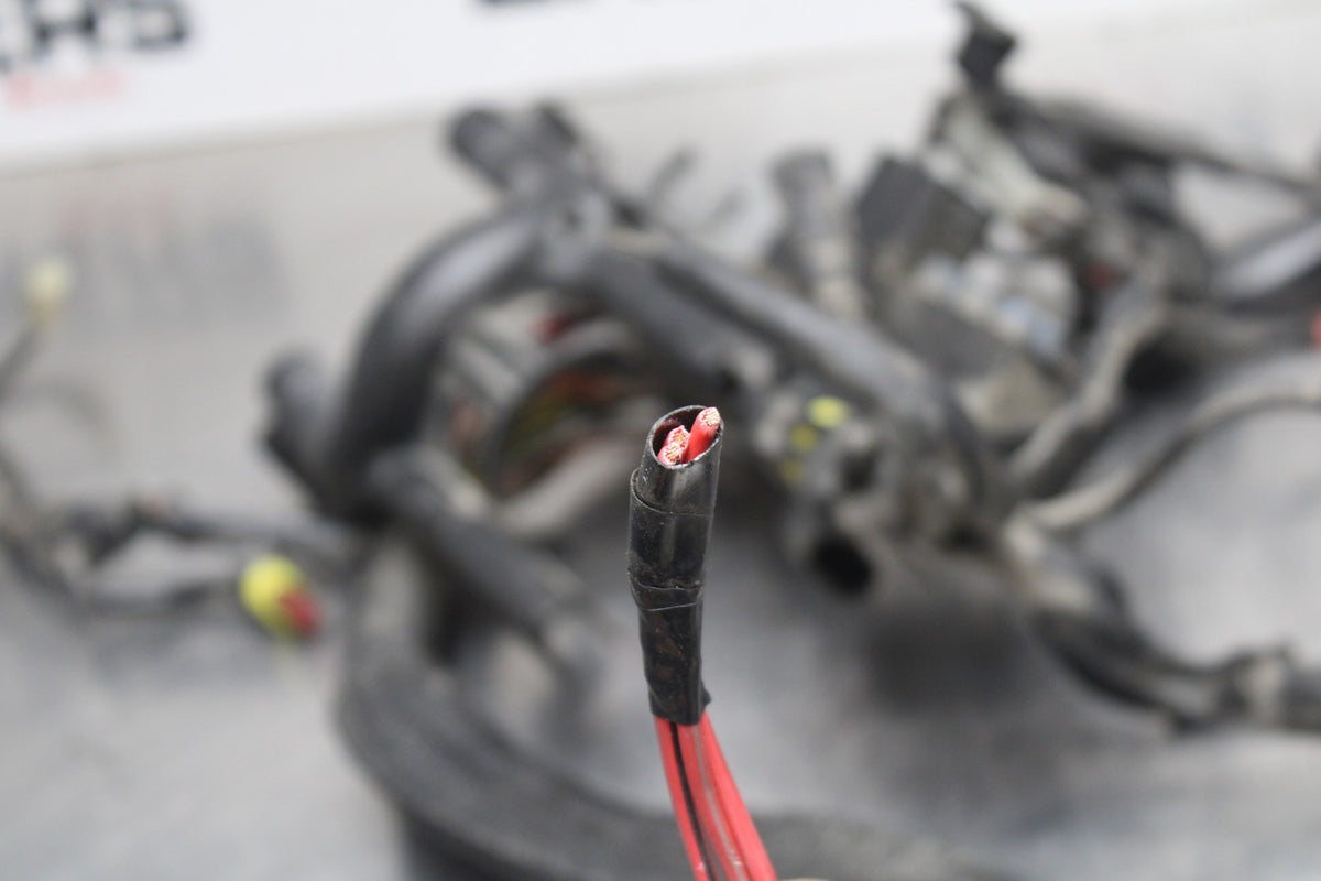 08 HARLEY-DAVIDSON SPORTSTER 1200 MAIN ENGINE WIRING HARNESS WIRE LOOM BB794