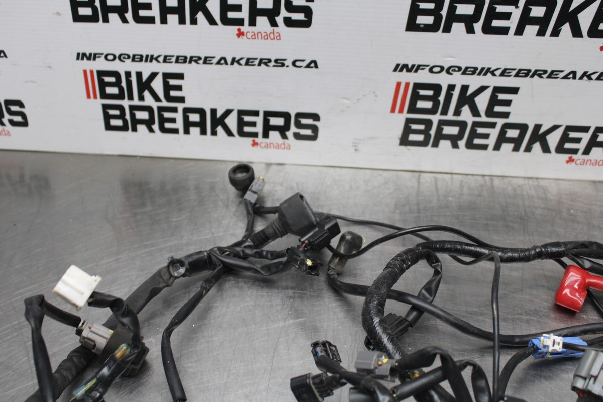 18-26 KAWASAKI Z400 MAIN ENGINE WIRING HARNESS MOTOR WIRE LOOM BB852