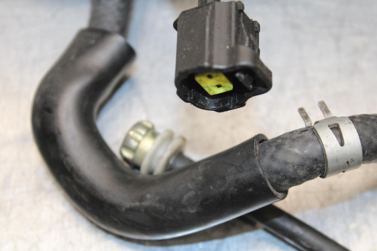 05 YAMAHA YZF R6S MAIN FUEL INJECTORS / THROTTLE BODIES BB600